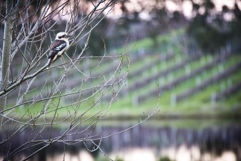 Bettenays Margaret River Metricup Pokoj fotografie
